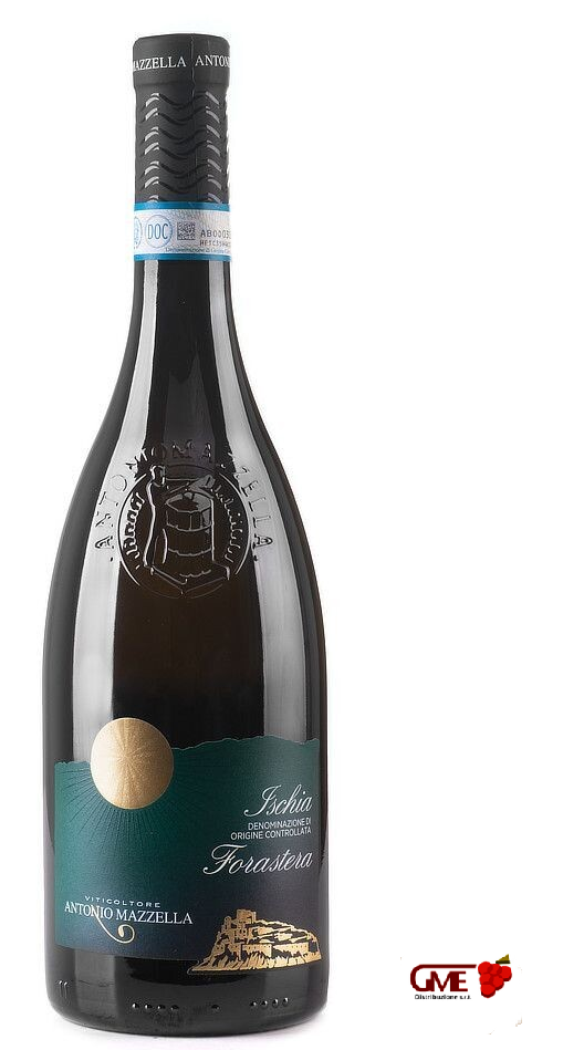 Forastera D'Ischia Doc 2024 Antonio Mazzella Cl.75 12,5% Vol.
