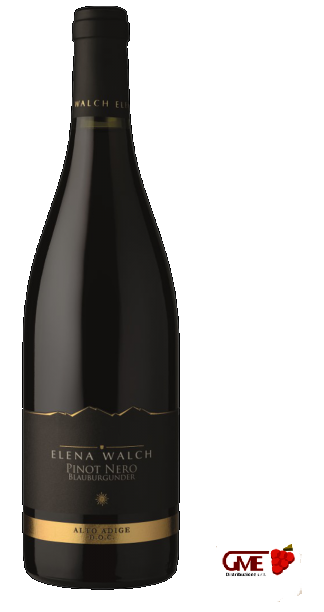 Pinot Nero Doc 2024 Elena Walch Cl.37,5 13% Vol.