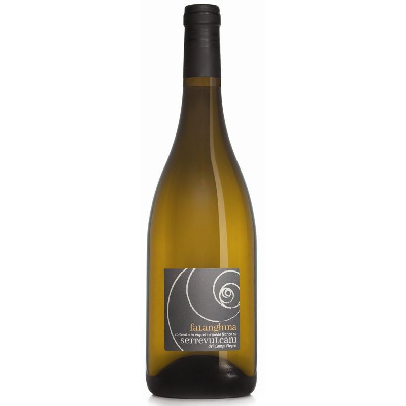Falanghina Dei Campi Flegrei Settevulcani Salvatore Martusciello Doc 2024 Cl.75 12,5% Vol.